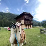 Americana D'hotes 3* Champoluc