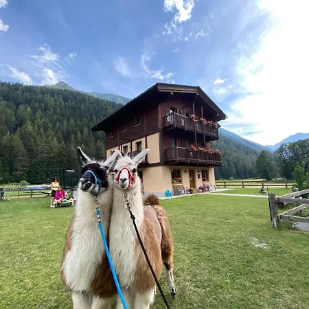 Americana D'hotes 3* Champoluc