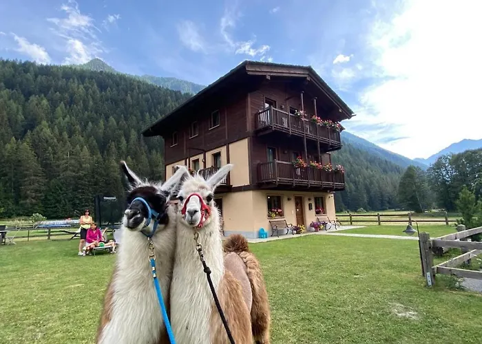 Villa Americana Chambres D'Hotes 3* Champoluc